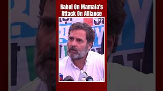 Rahul Gandhi Downplays Mamata Banerjee's Attack On INDIA Alliance