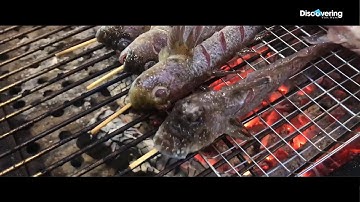 Đặc sản CÁ THÒI LÒI nướng muối ớt | Discovering Vietnam