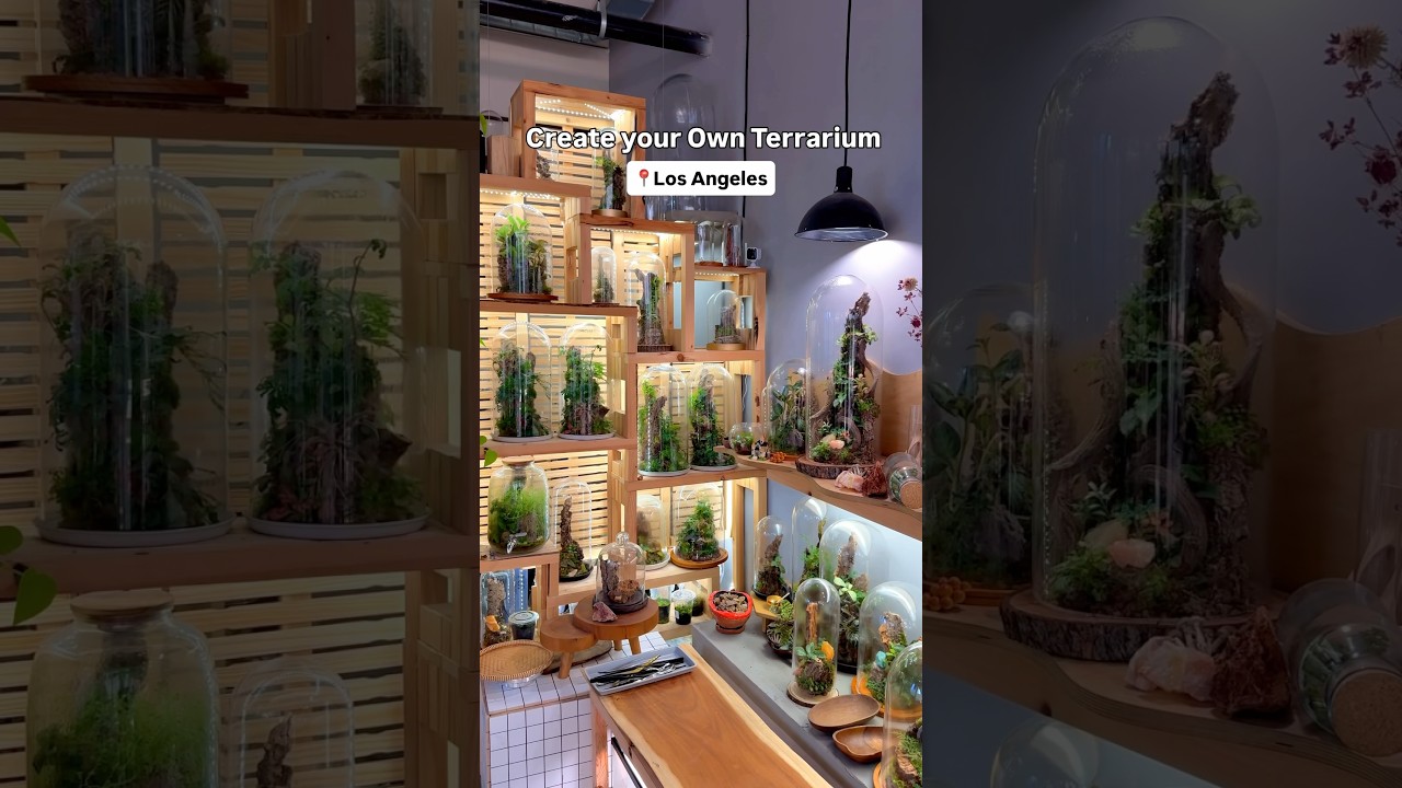 Make your Own Terrarium in LA (Beginner Workshop)