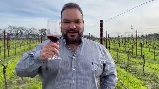Vineyard Pruning a Modified VSP Trellis