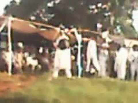 Moyeebul Abbaa Gelloo Wallaggaa