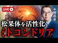 松果体を活性化させるミトコンドリアの真実｜小田真嘉