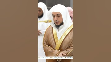 102 | تلاوة عذبة لسورة التكاثر | الوليد الشمسان جمادى الآخرة 1446