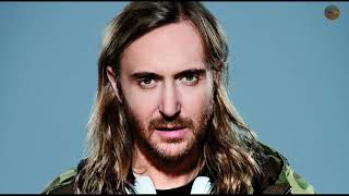 David Guetta - What I Did For Love ft Emeli Sandé (Audio)