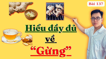 “ Gừng” - Lợi Ích, Cách Chế Biến, Ứng Dụng Thực Tế Trong Chữa Bệnh