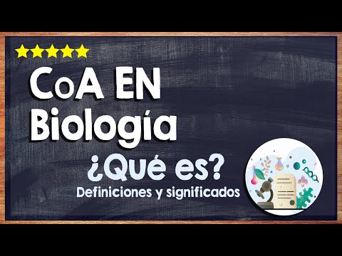 🙏 ¿Qué es el CoA en biología? - Conoce este término 🙏