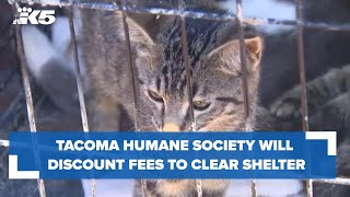 Tacoma Humane Society launching discounted adoption fees to help clear the shelter