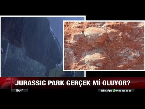 Jurassıc Park gerçek mi oluyor? - 5 Ocak 2018