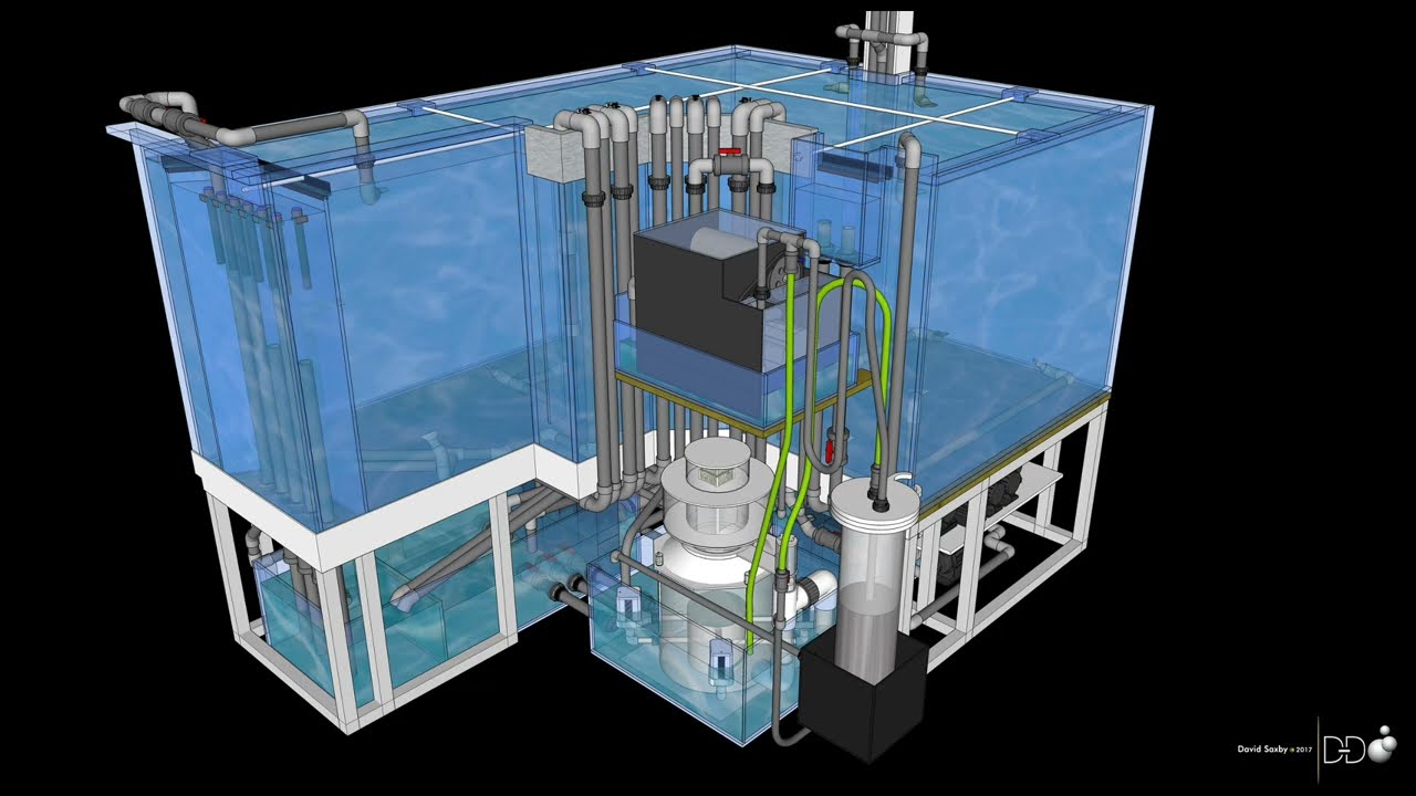 David Saxby Presentation 2017