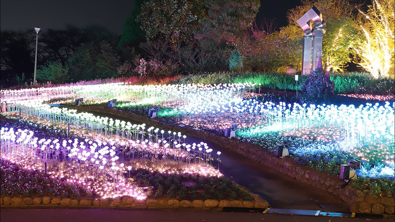 大阪府立花の文化園でイルミネーションイベント はなぶんサンクスイルミ 旅うさぎと光の国 21年 Youtube
