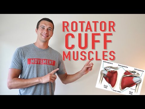 Rotator Cuff Muscles Explained: Supraspinatus, Infraspinatus, Teres Minor, Subscapularis