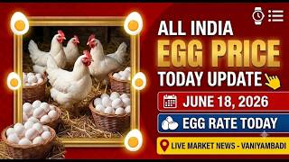 Daily Egg Rate Update: 18 June 2026 | Poultry Pulse India