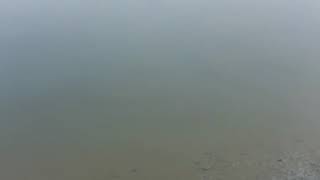 Never Before Discovered Pterodactyl Foot Prints