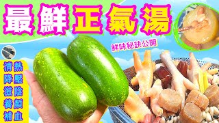 暑假王牌節瓜湯🏖濕毒邪氣⭐️水腫高壓⭐️冇嚟醒目立即消⭐️試過好記得點讚\/分享\/訂閱🍀 #Chinese #soup #药膳