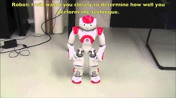 Nao Robot Karate: A Nao Robot Teaching a Human How To Perform Karate Movements