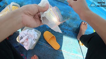 CÂU CÁ ĐỔNG BÙN - CÂU CÁ BIỂN NHA TRANG