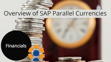 Overview of SAP Parallel Currencies