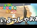 【あつ森】借金を返したと思ったら、借金が増えていた。な、何を言ってるか分からねーと思うが以下略【あつまれどうぶつの森】