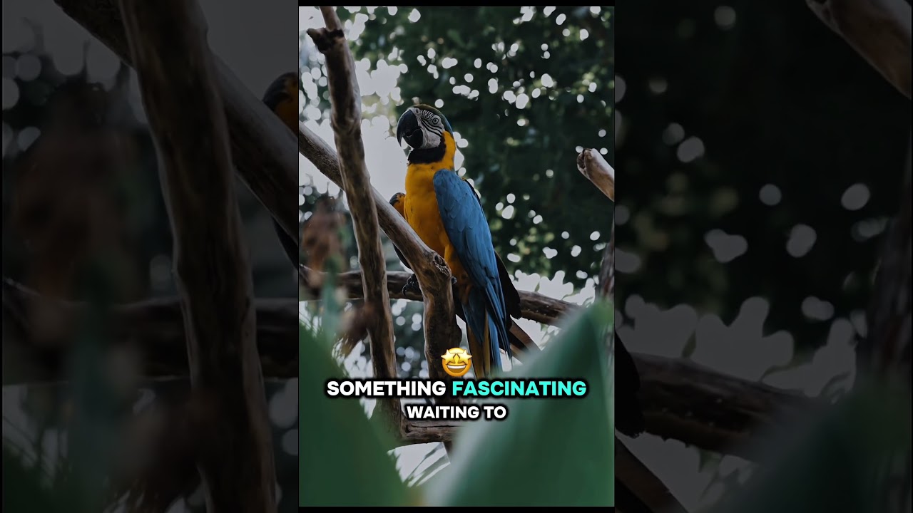 🦊 Animal facts backed by real wildlife behavior watch till the end.