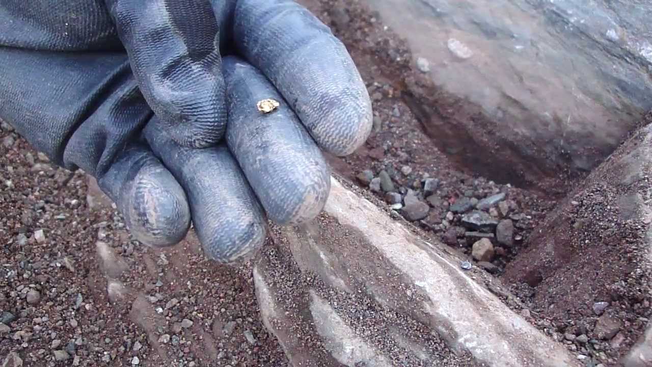 Half gram Arizona Gold Nugget detected