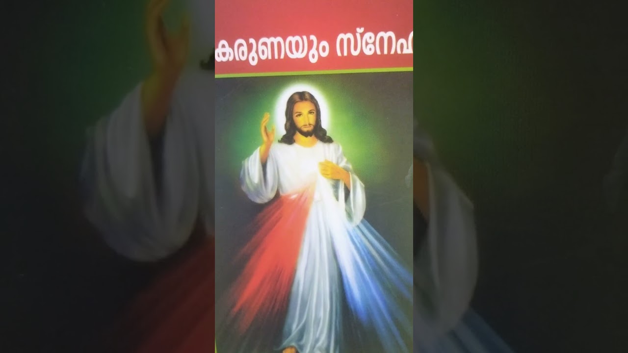 ഡയറി, notebook 3