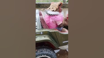 Abu received the news to pick up the duckling