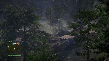 Far Cry 4 invisible weapon bug