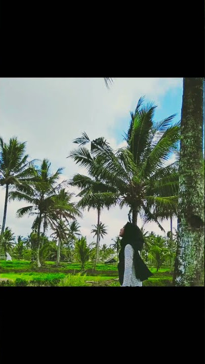 Cover - Orang yang Sama (Virgoun)