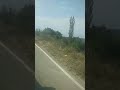 #viral# AR Rahman#ytshorts #viral #ytshorts #subscribe #