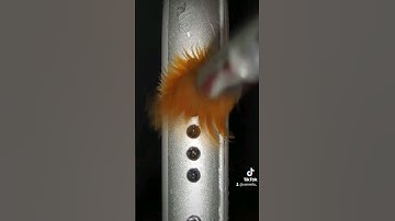 Cleaning iPhone speaker #asmr #cleaning #satisfying #waitforit