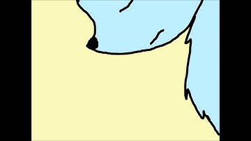 Warrior cats-OC PMV MAP-You don