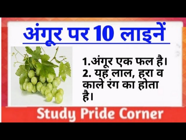 10 Lines on Grapes | 10 Lines on Grapes in Hindi | Angoor Par 10 Lines | अंगूर पर 10 हिन्दी लाइनें | class=