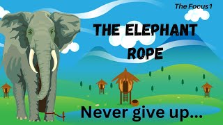 The elephant rope (belief) inspirational short story@TheFocus1