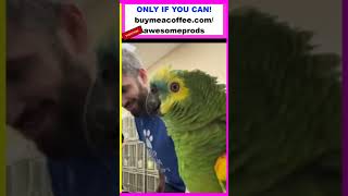🤣 STOP!! PACO 🦜 HAS VETS LMAO!? 😂& COMMENTS! 💋💋💋
