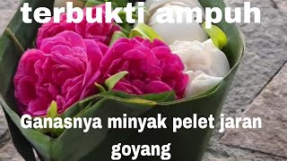 The secret of the Jaran Goyang love spell that you need to know, try it to conquer your partner's... screenshot 5