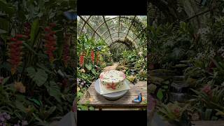 whiteforest with strawberry filling,blue velvet,ragi brownie #cakedecorating #happycakes #bakingtips