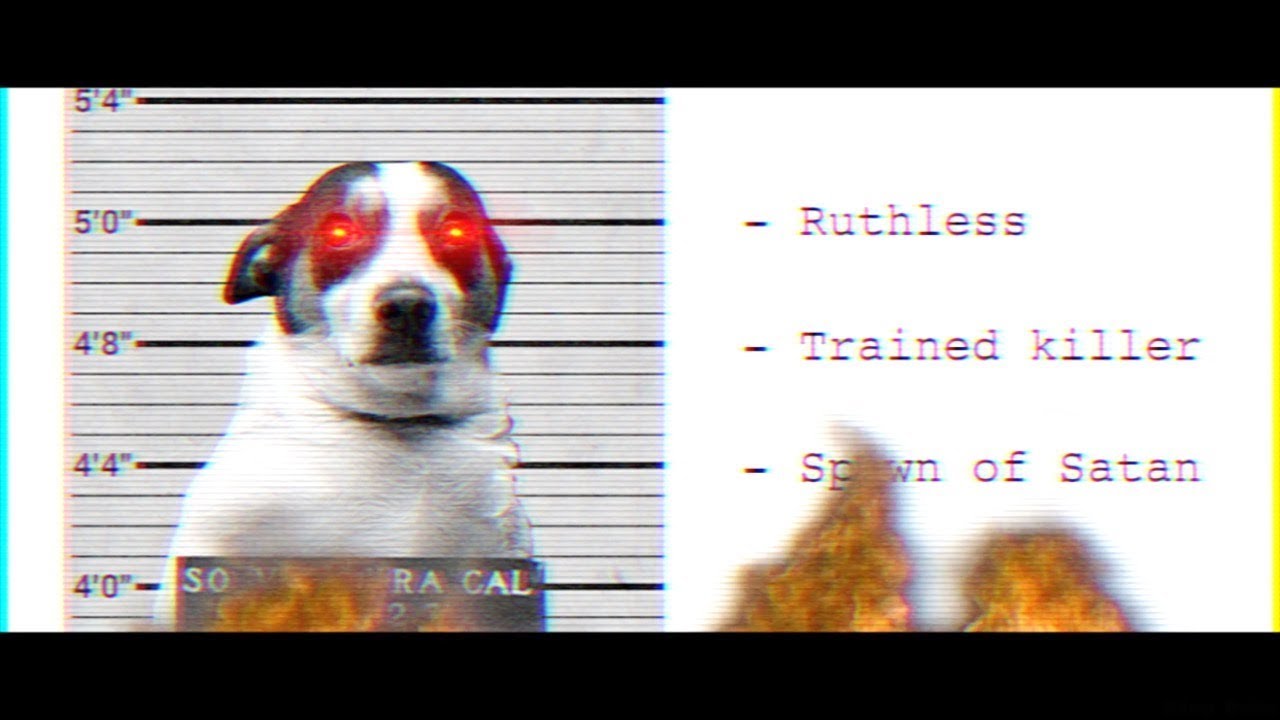 A Nightmare On Bubz Street (2019) - Trailer #2 [HD]