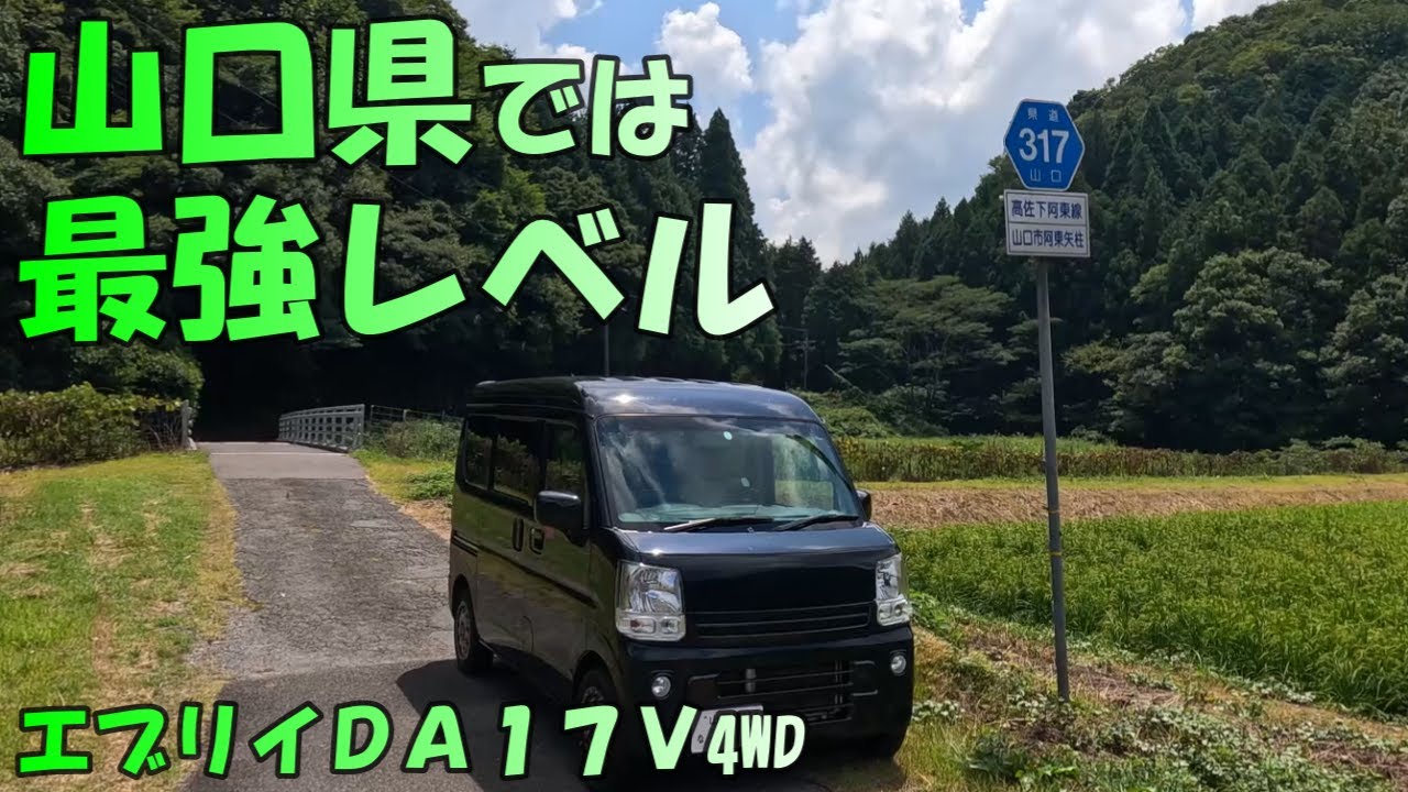 険道区間じゃ無いと思ったらなかなかの険道で楽しかった　[山口険道３１７号線]