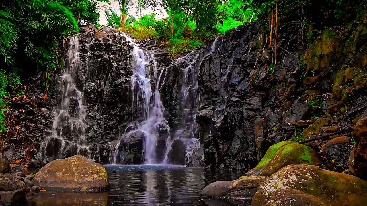 Beautiful waterfall Stream Sounds, Harmonious Nature Sounds, Lovely Birds Chirping Beautiful waterfall Stream Sounds, Harmonious Nature Sounds, Lovely Birds Chirping