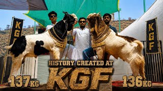 HISTORY Created at UMAR KGF🤯| Bolke Nahi Tol ke Dikhayege | Record Broken at Andheri Donger KGF 
