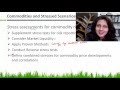 Credit Analysis_Stress Testing 1st part