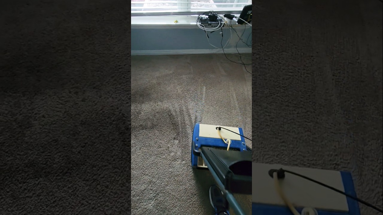 Agitating Carpets with Multi Wash & Nylon Brush after Pre-Spray Dirt Emulsification Demo 