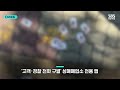 [자막뉴스] 기막힌 성매매에 경찰도 당황...153억 떼 돈 번 사람들 정체 / KBS 2023.09.18.