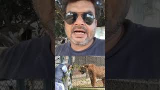 Eis Bich Me Jali Nahota To Logo Ke Ghar Me Lpj Ka Salendar Khali Nahota