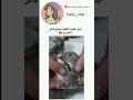 اين انت يا فاعل الخير 