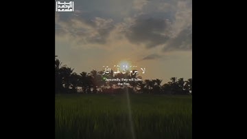 ويجعلون لله ما يكرهون وتصف السنتهم الكذب.. القارئ عبدالرحمن مسعد