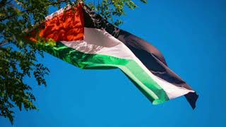 Leve Palestina Crush zionism - Kofia Lyrics (English/Turkish/Swedish)