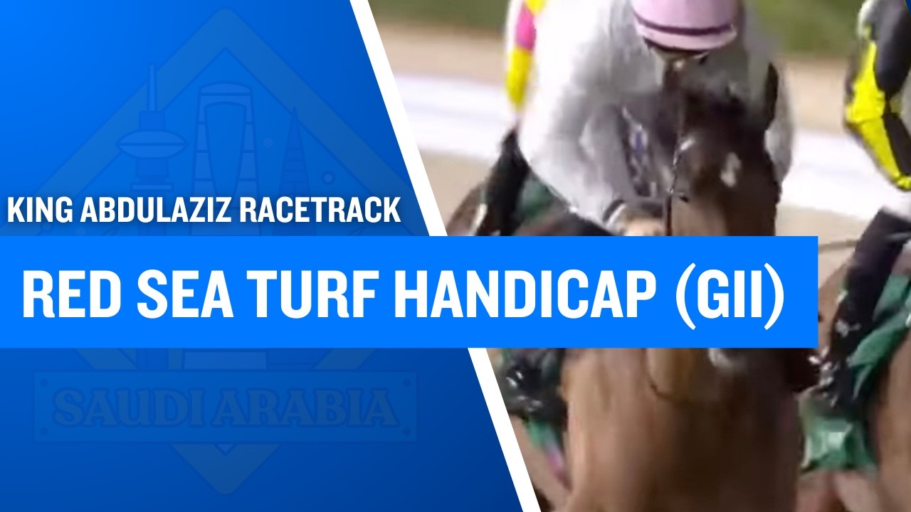 サウジカップデー2026結果まとめ】各競走の優勝馬・騎手・出走した日本