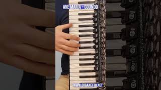 Shorts -AVE MARIA - Gounod - Fisarmonica Superfacile -