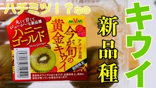 リニュー HGH キウイベリー 新品未開封　パートナーコ 成長ホルモンに着目した未来型サプリメント 『リニューHGH』5月20日(金
